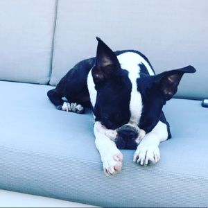 Meet your Posher, Melissa